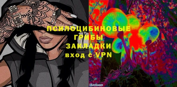 крисы Анжеро-Судженск
