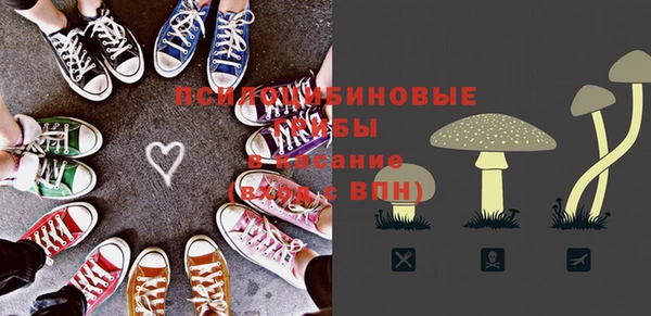 дмт Анива