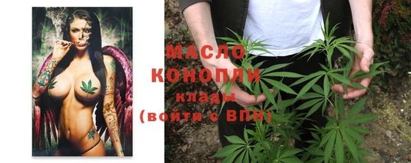 гидра Михайлов
